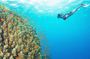 The Best Places Where to Snorkel and Dive