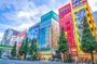 From History to Subculture: Akihabara & Ueno Must-See Tour!