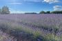 Provence pearl of southern France