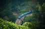 14-Day Private Sri Lanka Tour: Sigiriya, Ella Train & Yala Safari