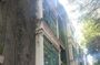 Private guided walking tour in La Condesa neighborhood with transportation