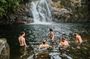 Sinharaja Rainforest Private Half Day Tour with Licensed Guide