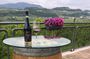 Amarone Wine Tasting in Valpolicella