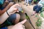 Rockland’s Bird Sanctuary and Doctors Cave Beach In Montego Bay