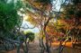 Andromeda Experiences: VIP Sunset Photo Walk Golden Hour of Paros
