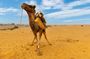 Private Full Day Jaisalmer City Tour (All-Inclusive)