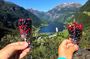 Geiranger by Royal Route & Farm Visit. Private Shore Tour