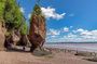 Saint John (NB) Bay of Fundy and Hopewell Rocks Private Tour