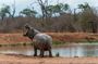 Cultural Swaziland, Mlilwane Wildlife and Hlane Park 3 Days Tour