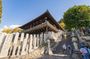 Nara 3-Hour Guided Tour: Deer Park & Todaiji Highlights