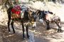 Private Rethymno Villages Historical Tour with Lunch and Wine