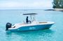 Luxury Shared Boat Tour Barbados Snorkeling and Turtles