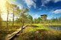 Private Day Tour to Lahemaa National Park from Tallinn