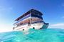 Cozumel Catamaran Tour: Snorkel at Top Reefs & Open Bar