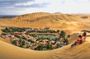 Guided Tour to the Museum of Ica, huacachina, buggy and sandboarding