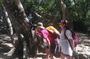 Wildlife Observation at Cahuita National Park