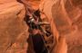 Capitol Reef National Park Canyoneering Adventure