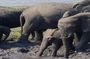 5 Days 4 Nights Budget Adventure Safari In Victoria Falls & Chobe National Park
