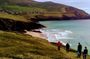 Private Tour: Dingle Peninsula from Dingle (not from cruise ship)