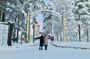 Rovaniemi: Trip to Ranua Zoo with Tickets Included