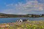 Amberd, Kari Lake and Byurakan Observatory Private Full-Day Tour