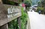 Authentic Mae Kham Pong Village Cultural Experience