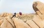 Joshua Tree Full Day Private Tour & Hike