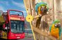 Cape Town Hop-on Hop-off & World of Birds Combo