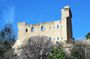 Private tour Avignon Châteauneuf-du-Pape Palais des Papes & Wine