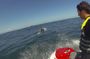 Escorted Coastal Tour by Jet Skis from St. Aubin