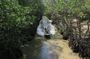 Can Gio Mangrove Biosphere Reserve 1 day