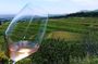 Grand Wine Tour from Catania or Taormina