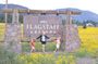 Flagstaff Scavenger Hunt Walking Tour and Game