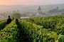 Moet et Chandon Pressoria Champagne Small Group from Paris