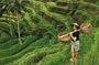 Ubud Jungle Swing - Monkey Forest - Water Temple - Waterfall