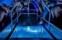 Airlie Beach Glass Bottom Boat Guided Night Tour