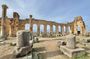 Discover Meknes & Volubilis A Day Tour from Fes with Local Guide