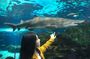 3 Day and 2 Night Tour: Toronto, 1000 Islands, and Niagara Falls