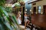 Cairns: Waterfall, Wetlands & Kuranda Scenic Rail All Inclusive