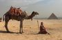 a camel ride in Sunset, with dinner Sound&Light Show at Giza Pyramids
