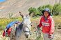 Discover Humahuaca Hornocal and Iruya Full Tour in 2 Days