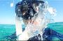 Snorkel with beach stop on Pirate Ship Cozumel
