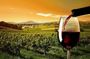 Private Bekaa Valley Wine Tour | Ksara, Kefraya & Saint Thomas