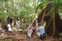 St. Kitts Rainforest Rumble (with Snacks)