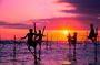 Galle Day Trip with River Safari Sea Turtle from Colombo, Negombo