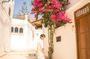 Photoshoot a Rabat