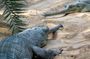 Wildlife trail in Chennai