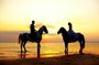 Cabo San Lucas Private Sunset Horseback Ride and Beach Dinner