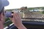 10 Days Kenya Honeymoon Safari on 4x4 Land CruiserJeep