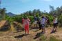 Private Wine Tour to Bolgheri with Expert Sommelier - 2 Wineries